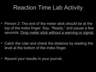 Reaction Time Lab Activity
• Person 2: The end of the meter stick should be at the
top of the index finger. Say, “Ready,” and pause a few
seconds. Drop meter stick without a warning or signal.
• Catch the ruler and check the distance by reading the
level at the bottom of the index finger.
• Record your results in your journal.
 
