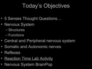 Today’s Objectives
• 5 Senses Thought Questions…
• Nervous System
– Structures
– Functions
• Central and Peripheral nervous system
• Somatic and Autonomic nerves
• Reflexes
• Reaction Time Lab Activity
• Nervous System BrainPop
 