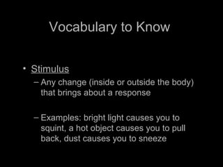 Vocabulary to Know
• Stimulus
– Any change (inside or outside the body)
that brings about a response
– Examples: bright light causes you to
squint, a hot object causes you to pull
back, dust causes you to sneeze
 