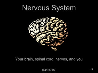 Nervous System
Your brain, spinal cord, nerves, and you
03/01/15 1.5
 