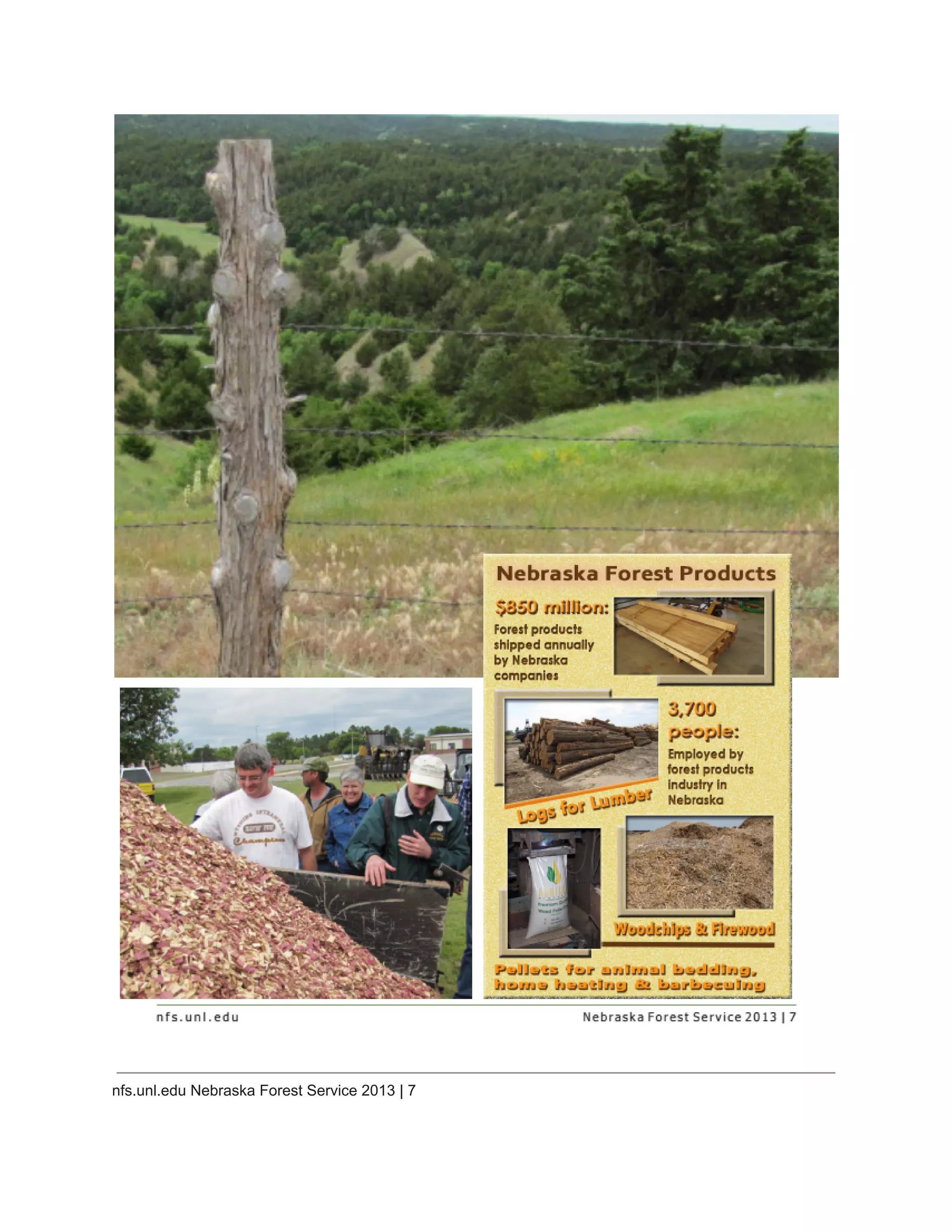  
nfs.unl.edu Nebraska Forest Service 2013 | 7 
 