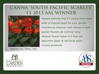 •Award winning first F1 canna from seed
adds a tropical touch to your garden
•Floriferous bloomer with showy 4-inch
scarlet flowers all summer long
•Robust flower-laden 4-5 foot tall
specimen plant or tall focal point
•Canna generalis
 