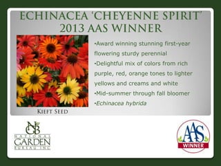 •Award winning stunning first-year
flowering sturdy perennial
•Delightful mix of colors from rich
purple, red, orange tones to lighter
yellows and creams and white
•Mid-summer through fall bloomer
•Echinacea hybrida
 
