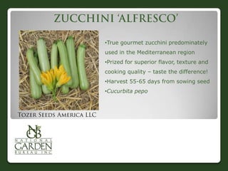 •True gourmet zucchini predominately
used in the Mediterranean region
•Prized for superior flavor, texture and
cooking quality – taste the difference!
•Harvest 55-65 days from sowing seed
•Cucurbita pepo
 