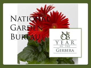 2013 National Garden Bureau Year of the Gerbera