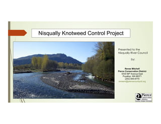 Nisqually Knotweed Control Project
Presented to the
Nisqually River Council
by:
Renee Mitchell
Pierce Conservation District
5430 66th Avenue East
Puyallup, WA 98371
(253) 845-9770
reneem@piercecountycd.org

 