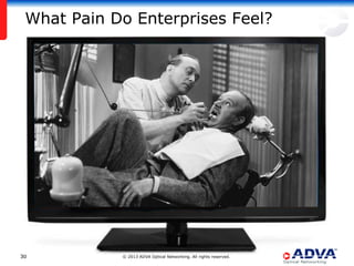 What Pain Do Enterprises Feel?




30          © 2013 ADVA Optical Networking. All rights reserved.
 