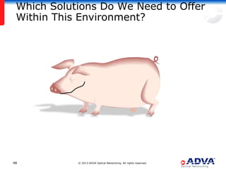 Which Solutions Do We Need to Offer
 Within This Environment?




48          © 2013 ADVA Optical Networking. All rights reserved.
 