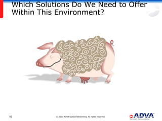 Which Solutions Do We Need to Offer
 Within This Environment?




50          © 2013 ADVA Optical Networking. All rights reserved.
 
