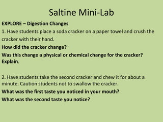 Saltine Mini-Lab
EXPLORE – Digestion Changes
1. Have students place a soda cracker on a paper towel and crush the
cracker with their hand.
How did the cracker change?
Was this change a physical or chemical change for the cracker?
Explain.
2. Have students take the second cracker and chew it for about a
minute. Caution students not to swallow the cracker.
What was the first taste you noticed in your mouth?
What was the second taste you notice?
 