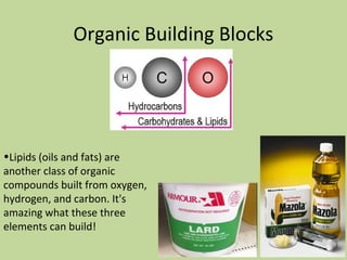 Organic Building Blocks
•Lipids (oils and fats) are
another class of organic
compounds built from oxygen,
hydrogen, and carbon. It's
amazing what these three
elements can build!
 