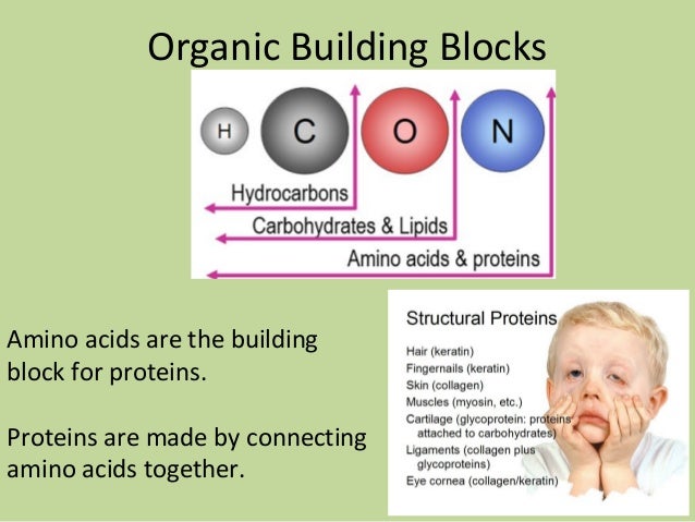 make elements that chemical fats Compounds Organic make elements that chemical fats Compounds Organic