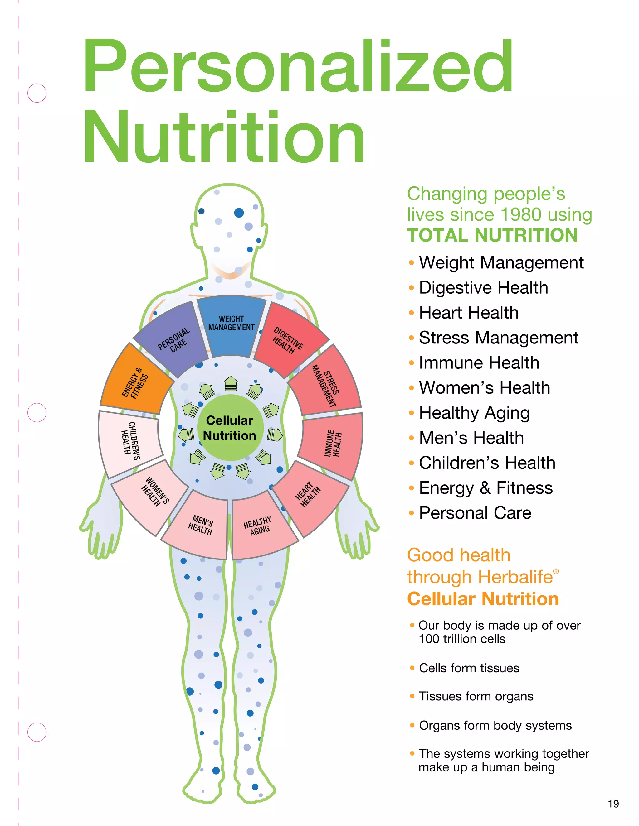 Cellular
Nutrition
19
•	Weight Management
•	Digestive Health
•	Heart Health
•	Stress Management
•	Immune Health
•	Women’s Health
•	Healthy Aging
•	Men’s Health
•	Children’s Health
•	Energy  Fitness
•	Personal Care
Personalized
Nutrition
Changing people’s
lives since 1980 using
TOTAL NUTRITION
Good health
through Herbalife®
Cellular Nutrition
•	Our body is made up of over
	 100 trillion cells
• Cells form tissues
• Tissues form organs
• Organs form body systems
• The systems working together
	 make up a human being
 