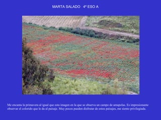 MARTA SALADO 4º ESO A




Me encanta la primavera al igual que esta imagen en la que se observa un campo de amapolas. Es impresionante
observar el colorido que le da al paisaje. Muy pocos pueden disfrutar de estos paisajes, me siento privilegiada.
 