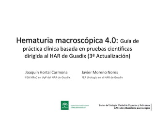 Hematuria macroscópica 4.0: Guía de
práctica clínica basada en pruebas científicas
dirigida al HAR de Guadix (3ª Actualización)

 