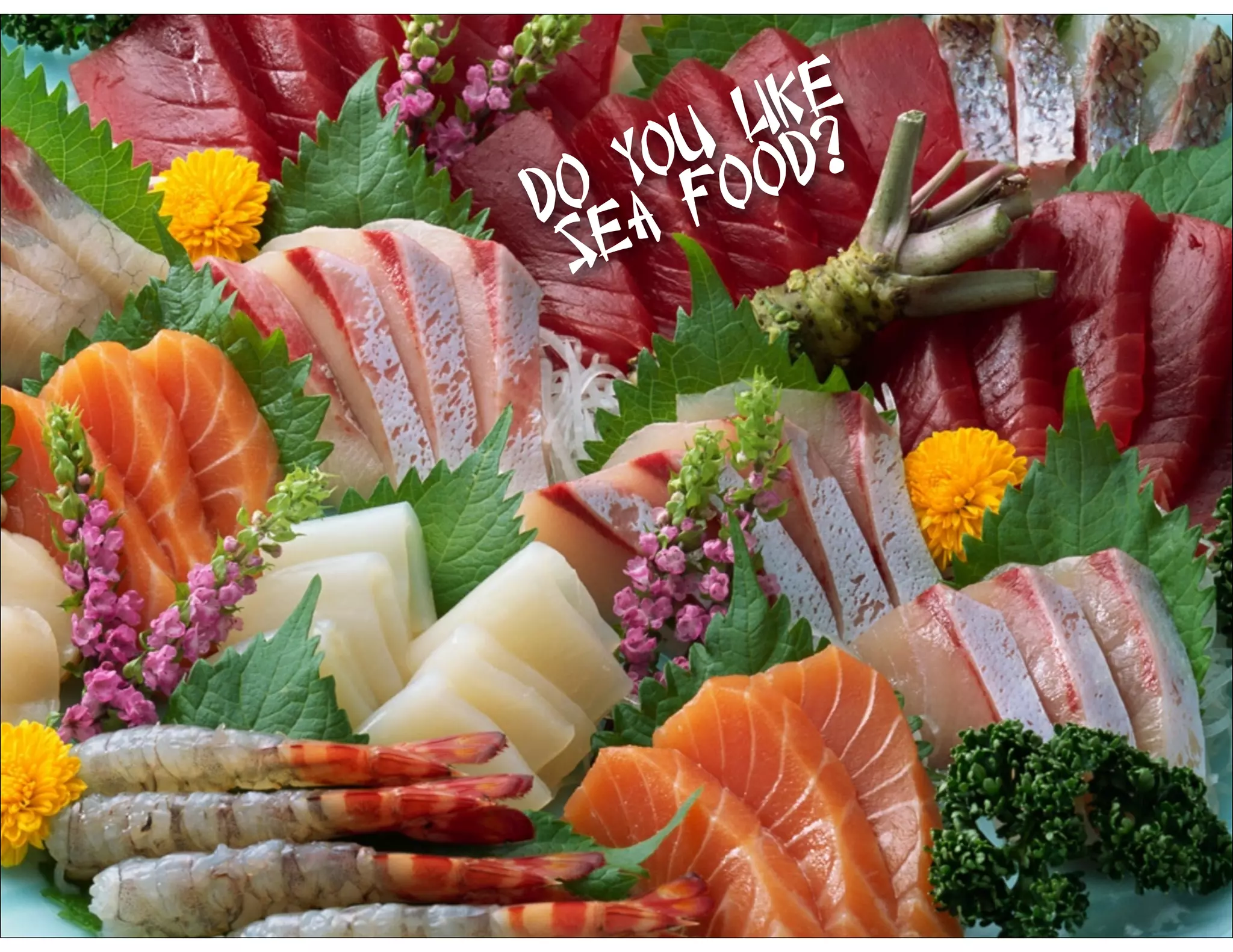 Do you like
Sea Food?
 