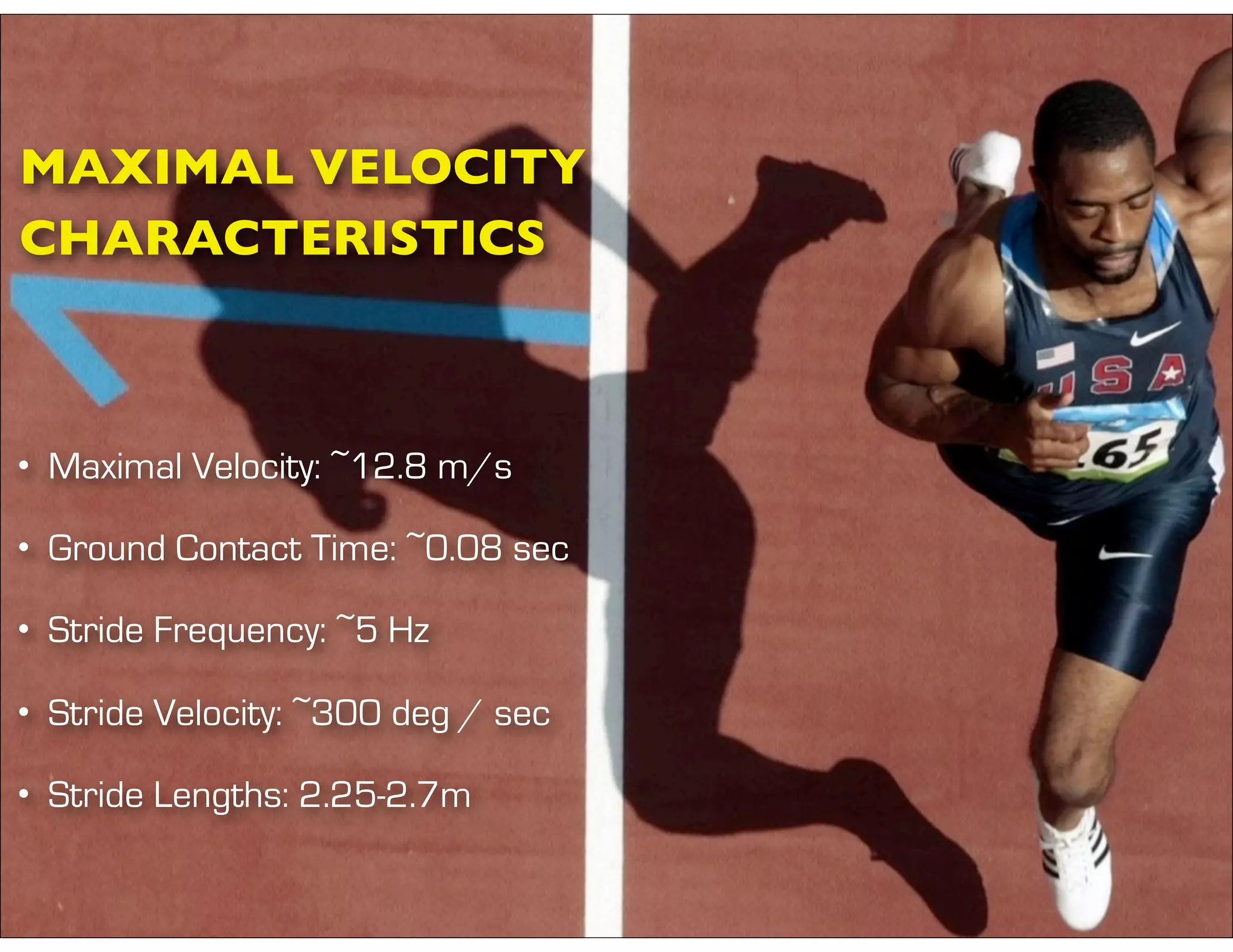 MAXIMAL VELOCITY
CHARACTERISTICS
• Maximal Velocity: ~12.8 m/s
• Ground Contact Time: ~0.08 sec
• Stride Frequency: ~5 Hz
• Stride Velocity: ~300 deg / sec
• Stride Lengths: 2.25-2.7m
 