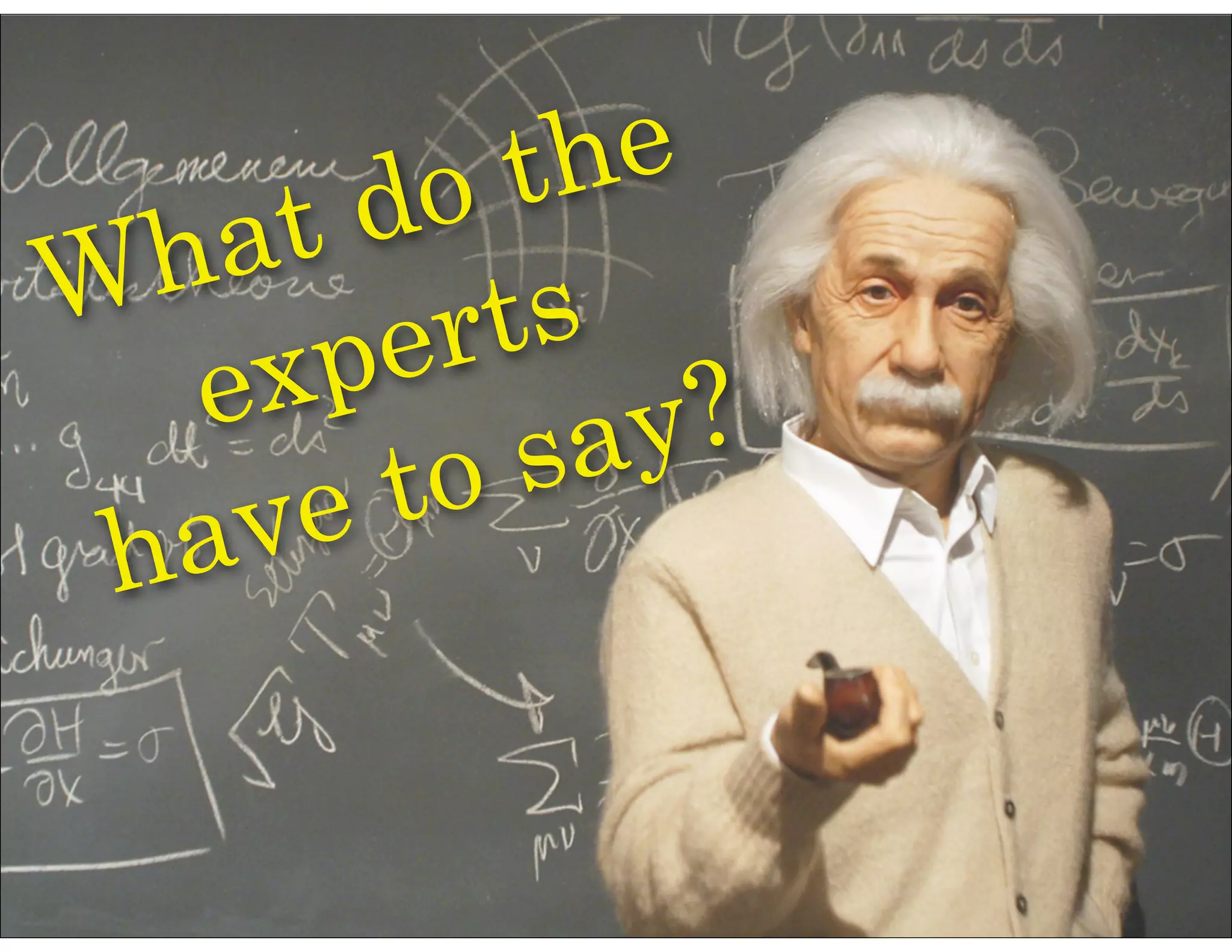 What do the
experts
have to say?
 