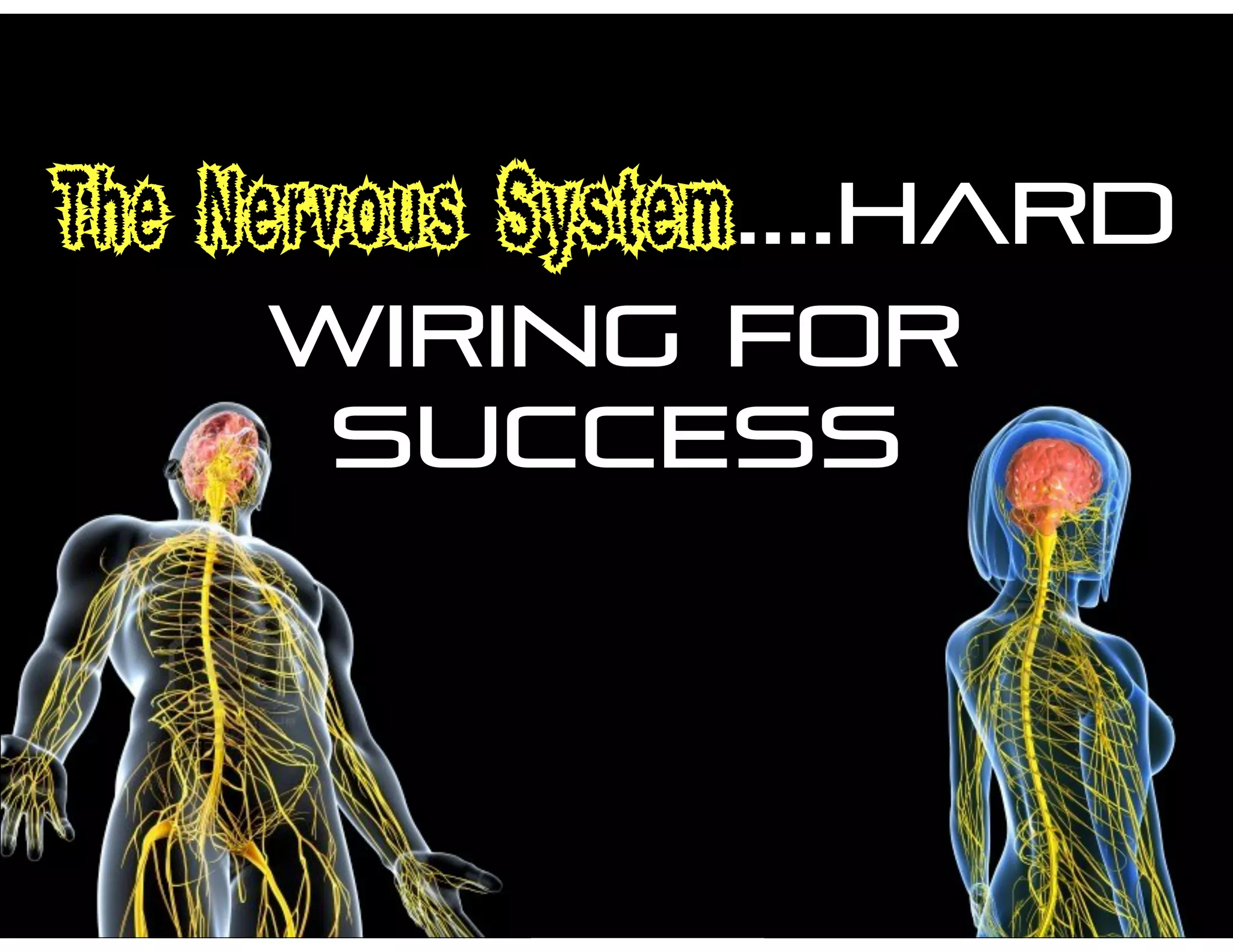 The Nervous System....hard
wiring for
success
 