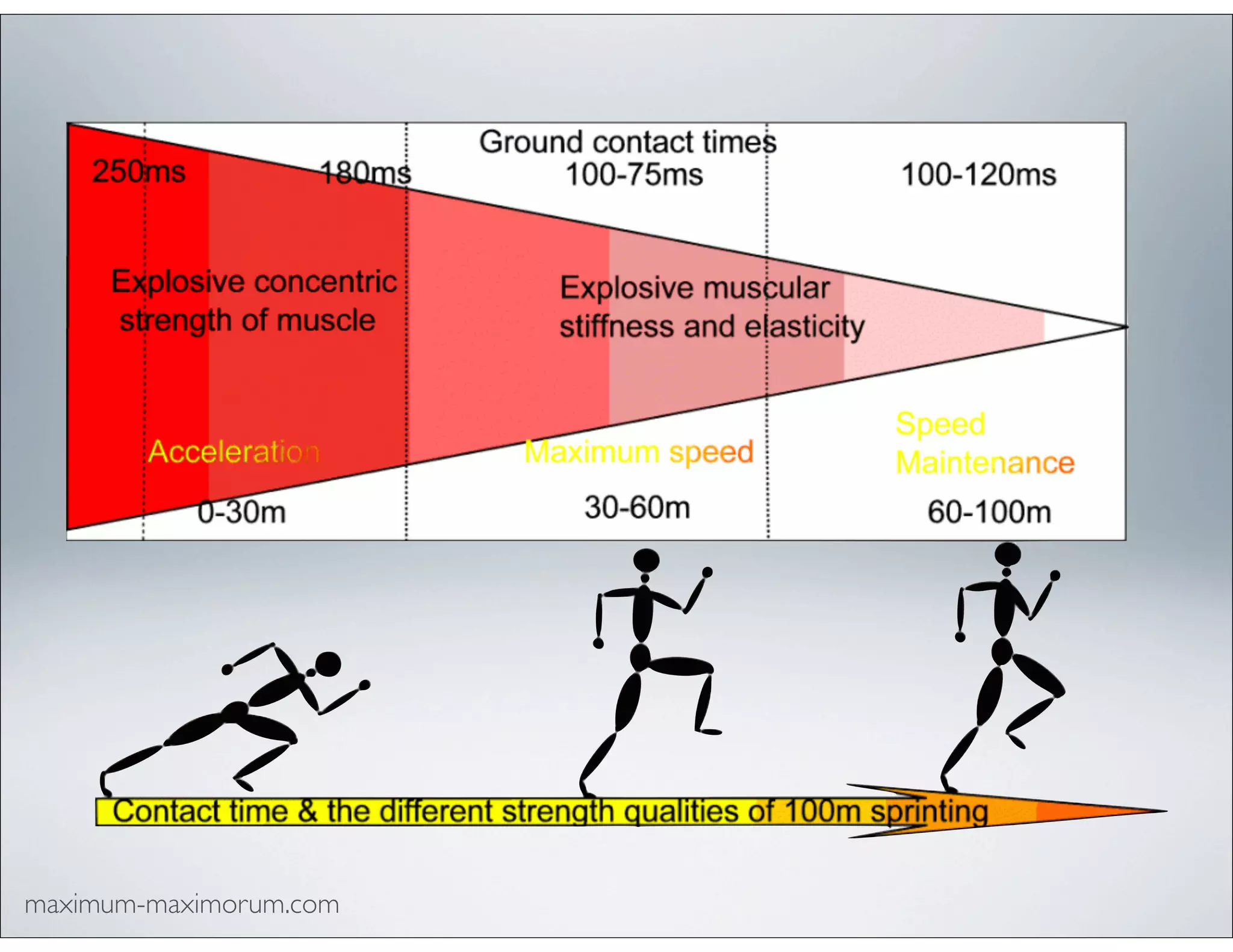 maximum-maximorum.com
 
