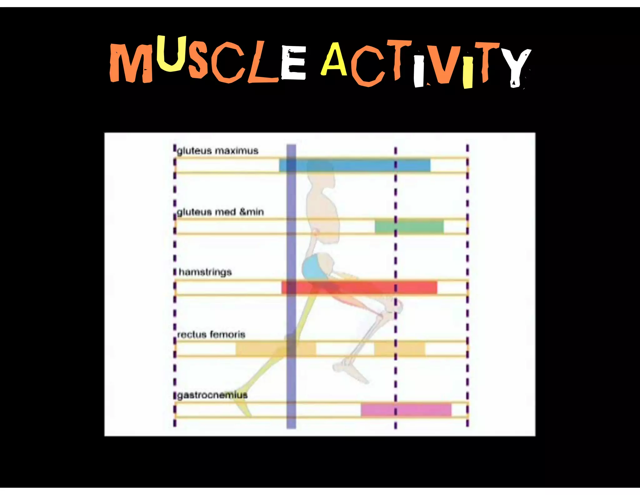 Muscle Activity
 