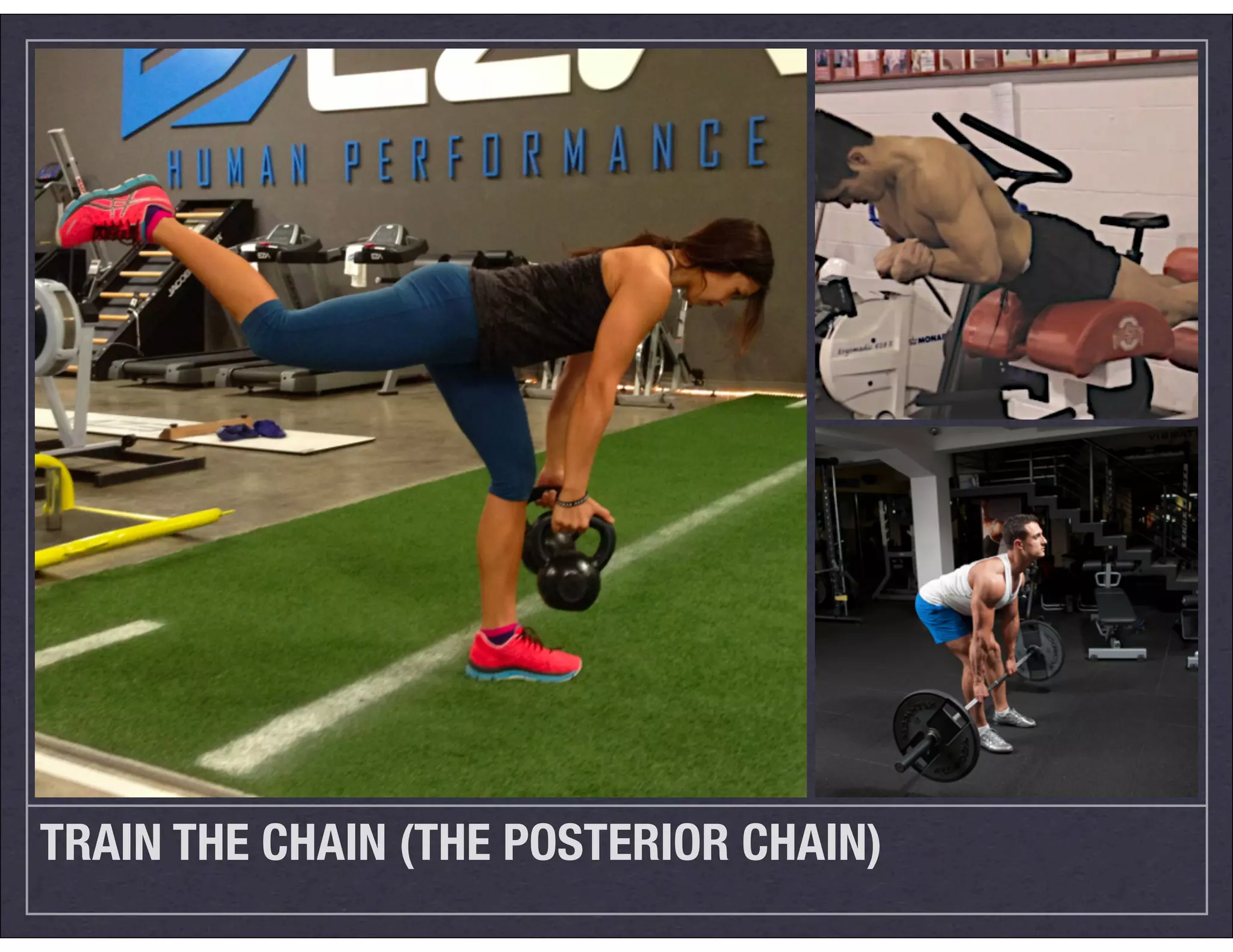 TRAIN THE CHAIN (THE POSTERIOR CHAIN)
 