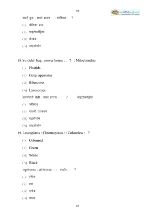 37

   jkcVZ gqd % jkcVZ czkmu % % dksf‛kdk %   
   (i)   Dksf‛kdk nzO;
   (ii) ekbVksdkafMª;k

   (iii) dsUnzd

   (iv) ykblkslkse



18. Suicidal bag : power house : : ? : Mitochondria

   (i)   Plastids

   (ii) Golgi apparatus

   (iii) Ribosome

   (iv) Lysosomes

   vkREk?kkrh FkSyh % ikoj gkml % %        %       ekbVksdkafMª;k
   (i)   IySfLVM
   (ii) xkYth midj.k

   (iii) jkbckslkse

   (iv) ykblkslkse

19. Leucoplasts : Chromoplasts : : Colourless : ?

   (i)   Coloured

   (ii) Green

   (iii) White

   (iv) Black

   Y;wdksIykLV % ØkseksIykLV % % jaxghu %       
   (i)   jaxhu
   (ii) gjk

   (iii) lQsn

   (iv) dkyk

                                                    37
 
