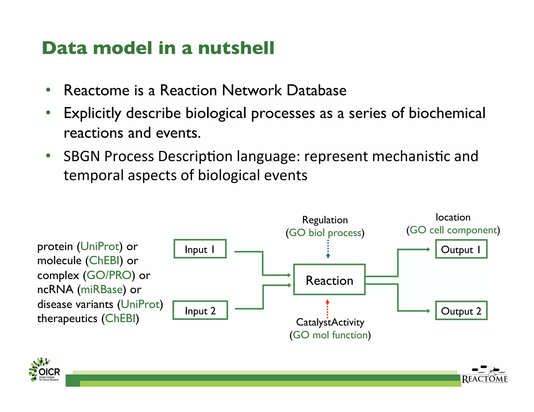 location	

(GO cell component)	

protein (UniProt) or 	

molecule (ChEBI) or 	

complex (GO/PRO) or	

ncRNA (miRBase) or	

disease variants (UniProt)	

therapeutics (ChEBI) CatalystActivity	

(GO mol function)	

Output 1	

Reaction	

Input 1	

Input 2	

 Output 2	

Regulation	

(GO biol process)	

Data model in a nutshell	

•  Reactome is a Reaction Network Database	

•  Explicitly describe biological processes as a series of biochemical
reactions and events.	

•  SBGN	
  Process	
  Descrip/on	
  language:	
  represent	
  mechanis/c	
  and	
  
temporal	
  aspects	
  of	
  biological	
  events	

 