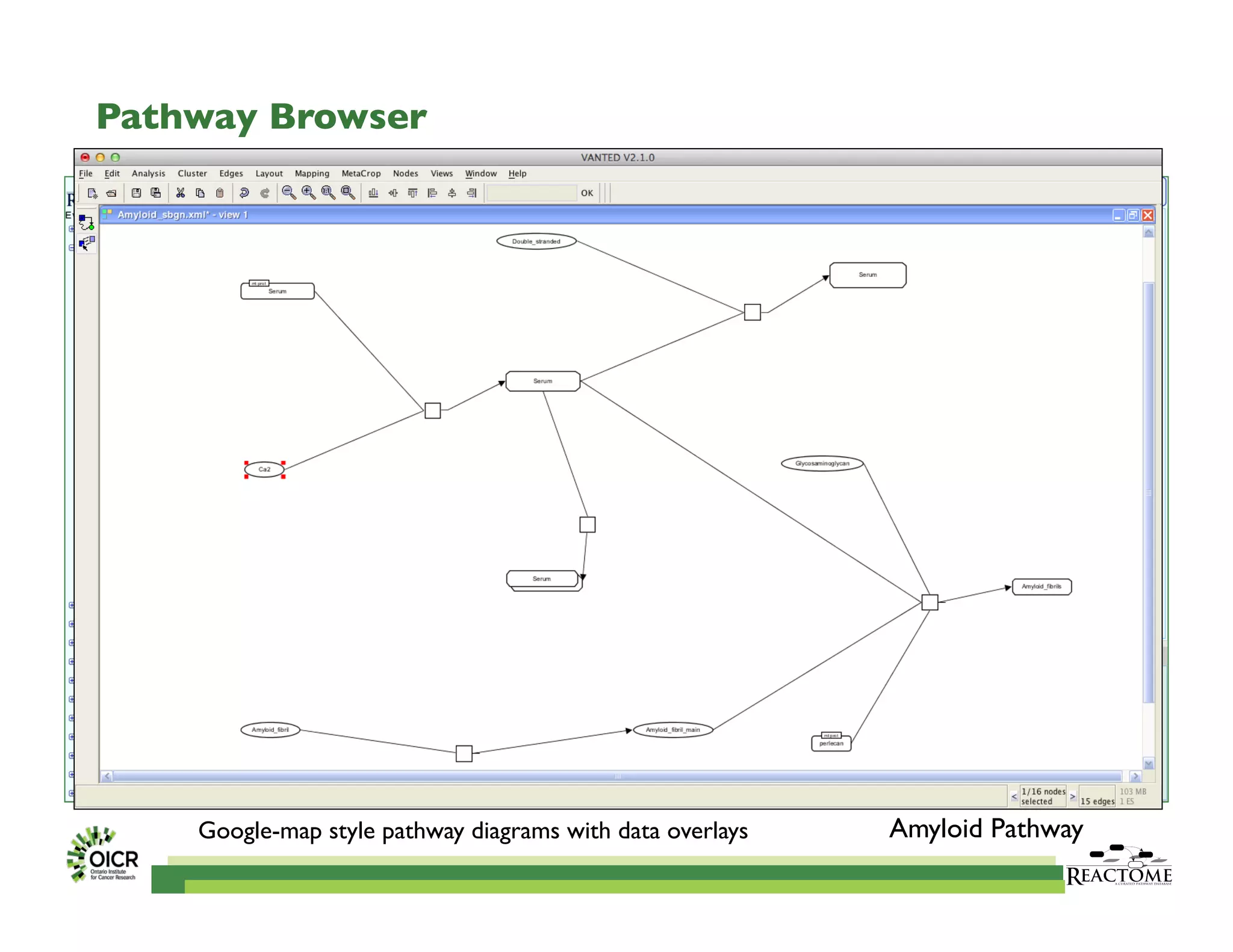 Amyloid Pathway	

Google-map style pathway diagrams with data overlays 	

Pathway Browser	

 