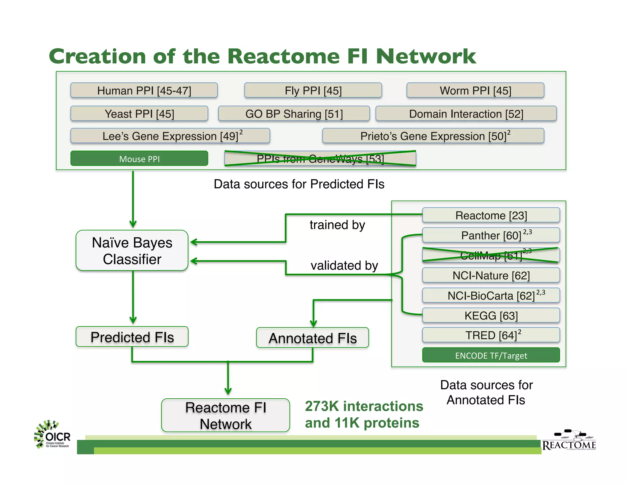 Creation of the Reactome FI Network	

Human PPI [45-47] Fly PPI [45]
Domain Interaction [52]
Prieto’s Gene Expression [50]Lee’s Gene Expression [49]
GO BP Sharing [51]Yeast PPI [45]
Worm PPI [45]
PPIs from GeneWays [53]
Data sources for Predicted FIs
Reactome [23]
Panther [60]
KEGG [63]
TRED [64]
NCI-BioCarta [62]
NCI-Nature [62]
CellMap [61]
Data sources for 
Annotated FIs
Naïve Bayes
Classiﬁer
trained by
validated by
Predicted FIs Annotated FIs
Reactome FI
Network
Mouse	
  PPI	
  
2,3	
  
2	
   2	
  
2,3	
  
2	
  
2,3	
  
ENCODE	
  TF/Target	
  
273K interactions
and 11K proteins	
  
 