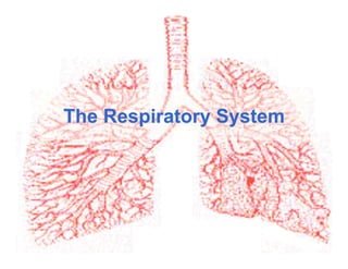 The Respiratory System
 