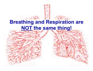 Breathing and Respiration are
NOT the same thing!
 