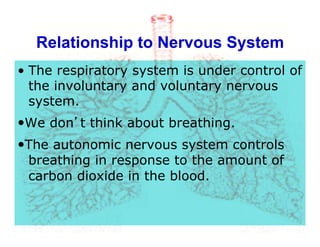 Relationship to Nervous System
•  The respiratory system is under control of
the involuntary and voluntary nervous
system.
—We don’t think about breathing.
—The autonomic nervous system controls
breathing in response to the amount of
carbon dioxide in the blood.
 