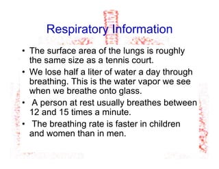 Respiratory Information
•  The surface area of the lungs is roughly
the same size as a tennis court.
•  We lose half a liter of water a day through
breathing. This is the water vapor we see
when we breathe onto glass.
•  A person at rest usually breathes between
12 and 15 times a minute.
•  The breathing rate is faster in children
and women than in men.
 