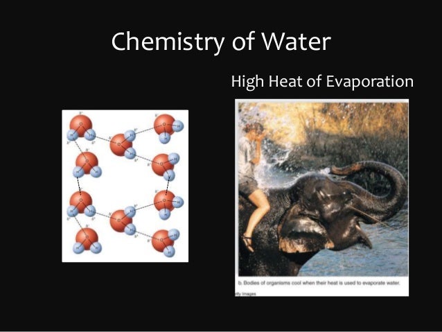 ap bio chapter 2 basic chemistry Chapter 2 the chemistry of life worksheets (opening image courtesy of david iberri, , and under the creative commons. ap bio chapter 2 basic chemistry Chapter 2 the chemistry of life worksheets (opening image courtesy of david iberri, , and under the creative commons.
