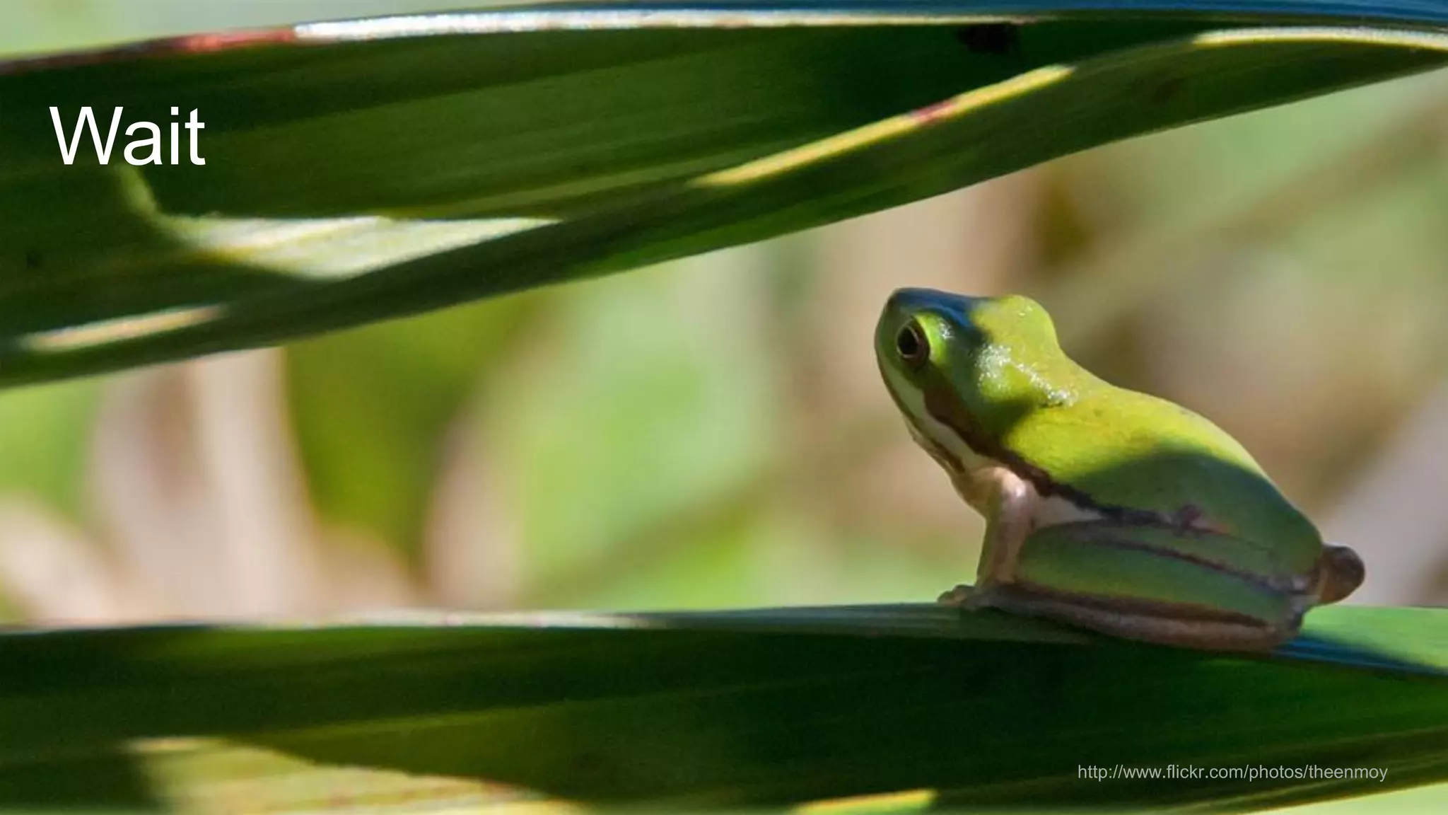 Wait

@wilreynolds

http://www.flickr.com/photos/theenmoy

 