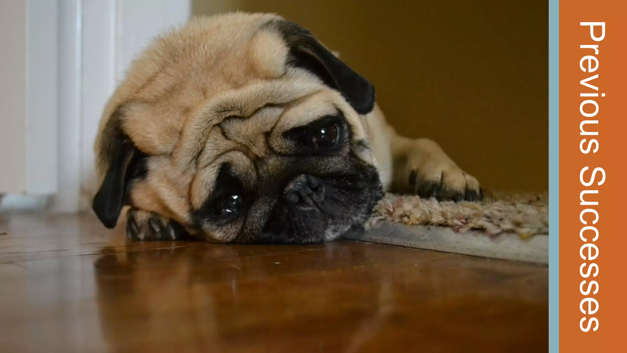 Previous Successes

@wilreynolds

 