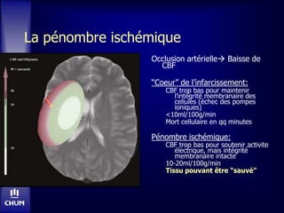 La pénombre ischémique
Occlusion artérielle Baisse de
CBF
“Coeur” de l’infarcissement:
CBF trop bas pour maintenir
l’intégrité membranaire des
cellules (échec des pompes
ioniques)
<10ml/100g/min
Mort cellulaire en qq minutes
Pénombre ischémique:
CBF trop bas pour soutenir activite
électrique, mais intégrité
membranaire intacte
10-20ml/100g/min
Tissu pouvant être “sauvé”
 