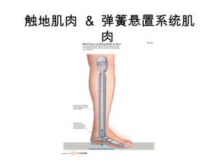 ؼ & ϵͳ 
 
 