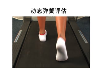̬ 
 