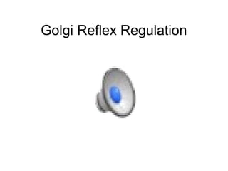 Golgi Reflex Regulation 
 