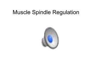 Muscle Spindle Regulation 
 