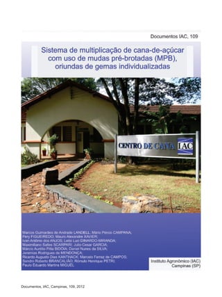 Documentos, IAC, Campinas, 109, 2012
 
