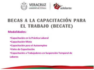BECAS A LA CAPACITACIÓN PARA
EL TRABAJO (BECATE)
Modalidades:
•Capacitación en la Práctica Laboral
•Capacitación Mixta
•Capacitación para el Autoempleo
•Vales de Capacitación
•Capacitación a Trabajadores en Suspensión Temporal de
Labores

 