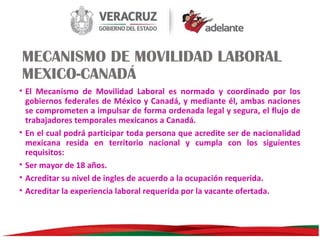 MECANISMO DE MOVILIDAD LABORAL
MEXICO-CANADÁ
• El Mecanismo de Movilidad Laboral es normado y coordinado por los
gobiernos federales de México y Canadá, y mediante él, ambas naciones
se comprometen a impulsar de forma ordenada legal y segura, el flujo de
trabajadores temporales mexicanos a Canadá.
• En el cual podrá participar toda persona que acredite ser de nacionalidad
mexicana resida en territorio nacional y cumpla con los siguientes
requisitos:
• Ser mayor de 18 años.
• Acreditar su nivel de ingles de acuerdo a la ocupación requerida.
• Acreditar la experiencia laboral requerida por la vacante ofertada.

 
