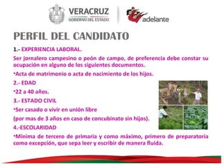 PERFIL DEL CANDIDATO
1.- EXPERIENCIA LABORAL.
Ser jornalero campesino o peón de campo, de preferencia debe constar su
ocupación en alguno de los siguientes documentos.
•Acta de matrimonio o acta de nacimiento de los hijos.
2.- EDAD
•22 a 40 años.
3.- ESTADO CIVIL
•Ser casado o vivir en unión libre
(por mas de 3 años en caso de concubinato sin hijos).
4.-ESCOLARIDAD
•Mínima de tercero de primaria y como máximo, primero de preparatoria
como excepción, que sepa leer y escribir de manera fluida.

 