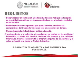 REQUISITOS
• Deberá radicar en zona rural. Queda excluido quien radique en la capital
de la entidad federativa o en zonas conurbadas o en principales ciudades
de los Estados.
• Deberá contar con una persona que pueda atender y resolver los
compromisos del trabajador mientras este se encuentre en Canadá.
• No ser deportado de los Estados Unidos o Canadá.
El reclutamiento y la selección de candidatos se realiza en las entidades
federativas a través del Servicio Nacional de Empleo y sus unidades
Operativas. Una vez incorporado al programa algunos de los tramites y la
salida a Canadá será desde la Ciudad de México.
LA SOLICITUD ES GRATUITA Y LOS TRAMITES SON
PERSONALES.

 