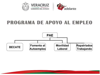 PROGRAMA DE APOYO AL EMPLEO
PAE

BECATE

Fomento al
Autoempleo

Movilidad
Laboral

Repatriados
Trabajando

 