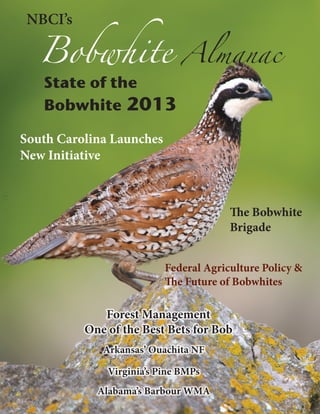 Bobwhite

NBCI’s

State of the
Bobwhite 2013

Almanac

South Carolina Launches
New Initiative

The Bobwhite
Brigade
Federal Agriculture Policy &
The Future of Bobwhites

Forest Management
One of the Best Bets for Bob
Arkansas’ Ouachita NF
Virginia’s Pine BMPs
Alabama’s Barbour WMA

 