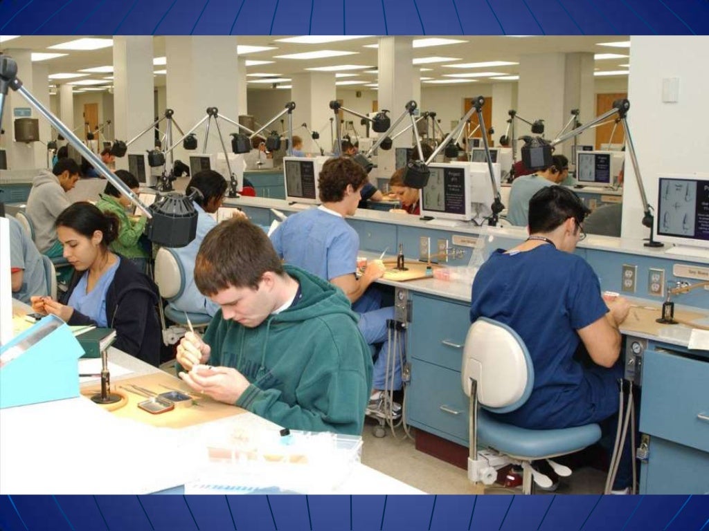Baylor Dental School Information